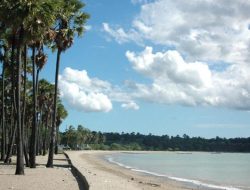 Festival Seni Pantai Lasiana Makin Menarik