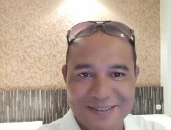 Ingin Saksikan Atraksi Ikan Lumba-Lumba Yukk Mendekat ke Perairan Semau