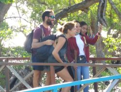‘Bule’ Spanyol dan Eksotika Mangrove Oesapa