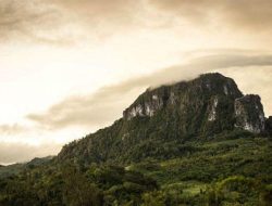 Akan Ada Atraksi Tenun Ikat di Gunung Fatuleu Sambut 2000 Pengusaha