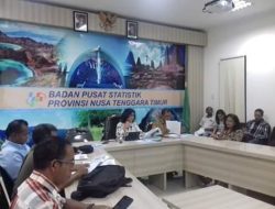 April 2019, 54, 73 % Kamar Hotel di NTT Terisi