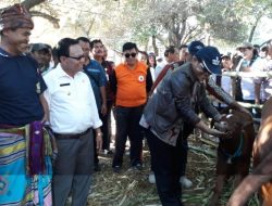 I Ketut: Saya Apresiasi Kabupaten Kupang Raih Hasil Tertinggi UPSUS SIWAB di NTT