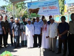 Pemkot Kupang Serahkan Hewan Kurban