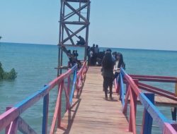 Berkunjung ke Rote Ndao, Jangan Lupa Singgahi Eco Wisata Mangrove Ndii Lifu