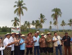 Pencanangan Populasi Masih jadi Fokus Kementan