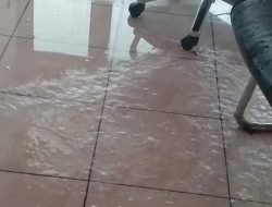 Astaga !! Ruang Sidang Utama DPRD Kabupaten Kupang Digenangi Air