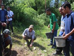 Ini Baru Dukungan. Masyarakat Desa Naitae Kembangkan Lamtoro dan Kelor di Lahan 25 HA