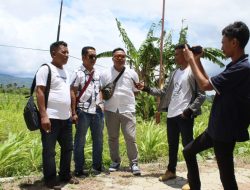 KONJAKK Tanam 1000 Pohon Sengon