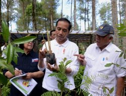 Presiden Dorong Upaya Pelestarian Lingkungan