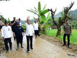 Presiden Dorong Pendekatan Vegetatif dalam Penanganan Bencana