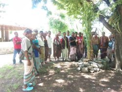 Masyarakat Desa Oekolo Gelar Ritual Adat Tolak Covid-19