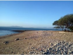 Pantai Manikin, Pantai Sejuta Koral