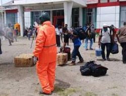 Angkut Penumpabg KM Lambelu Pemilik Bus Ancam Pecat Sopir