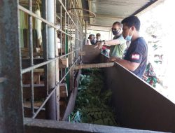 Kodim 1604/Kupang Belajar Budidaya Tanaman Hortikultura