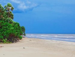 ‘Gurun Pasir’ Khas Pantai Oetune, Yang Mempesona