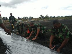 Para Babinsa Harus Bisa Berikan Contoh Bertani Kepada Masyarakat
