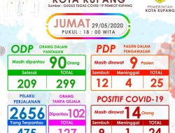 Sembilan dari 24 Pasien Covid-19 di Kota Kupang Sembuh