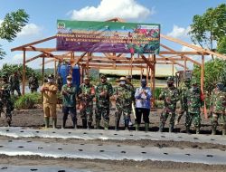 Tanam Perdana di Lahan Demplot, Ini Kata Kepala BI dan Dandim 1604/Kupang