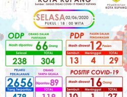 Kabar baik !! PPDP di Kota Kupang Tersisa 479 Orang, Dari 2. 656