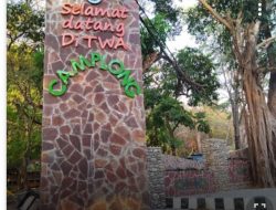 Ada Gua Alam di TWA Camplong
