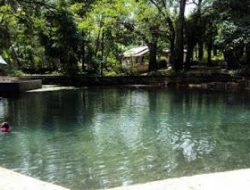 Taman Wisata Alam Camplong Sejuk dan Nyaman. Ingin Tau, Datanglah!!