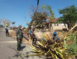 Babinsa – Masyarakat dan Petugas PLN Bersihkan Jaringan Listrik