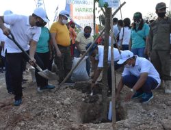 Pihak Ketiga Bertanggungjawab Pelihara Pohon Sampai April 2021