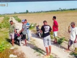 Lumbung Padi Naifalo “Hilang”, Karena Tambang Galian C