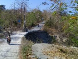Jalan Nekamese – Usapi Sonbai Nyaris Putus,  Warga Swadaya Buka Jalan Baru