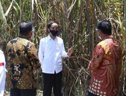 Presiden Sebut, Buka Kebun Tebu dan Pabrik Gula Terintegrasi, Sebuah Keberanian”