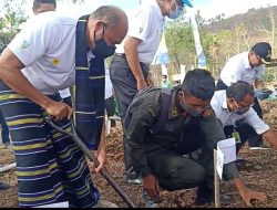 Laiskodat : NTT, Satu – Satunya Provinsi Yang Miliki Iridiasi Panas Matahari Tertinggi di Indonesia”