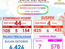 Astaga !! Angka Corona Sudah 154 Kasus