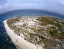 Mau Tenangkan Diri, Paling Cocok di Pulau Kera