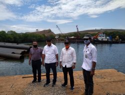 Habitat Komodo Harus Lebih Modern dan Menarik