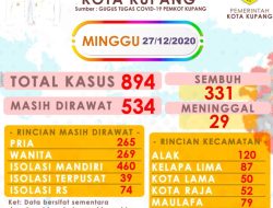 Total Positif Covid-19 894 Kasus
