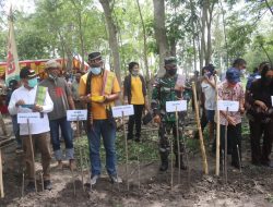 Ada Gerakan Menanam Dari Umat Kristen dan Katolik di Kupang Timur