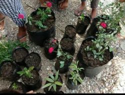 OMK dan Pelajar Desa Oan Mane Peduli Lingkungan