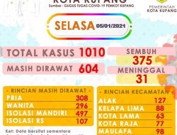 Total Positif Covid-19 1.010 Kasus