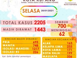 Hingga Hari Ini Kota Kupang “Koleksi” 2.205 Kasus Corona