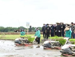 Pemerintah Genjot Sektor Pertanian Tahun 2021