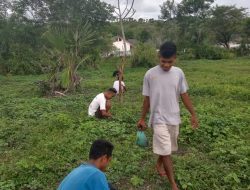 Wujudkan Cinta Lingkungan, IMPPO Lakukan Penghijauan