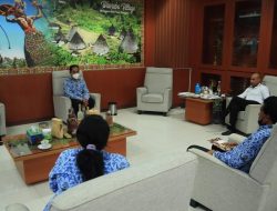 Ternyata Faloak Obat Mujarab Dari NTT !! Pengembangannya Butuh Dukungan BPOM