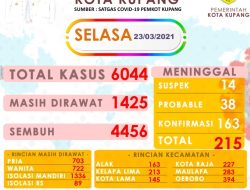 Positif Covid-19 di Kota Kupang Tembus Angka 6. 044