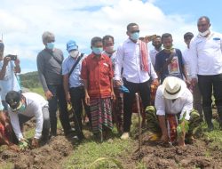 Gubernur Kembali Kunjungi Kabupaten Kupang, Adakah Yang Serius ?