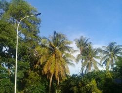 Tiga Belas Unit Lampu Jalan di Bello Kembali Padam