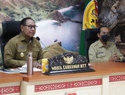 Menuju Zero Stunting Ini Yang Dilakukan Pemerintah Provinsi NTT