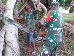 Pohon Tumbang di Jalan, Ini Yang Dilakukan Babinsa dan Warga Semau