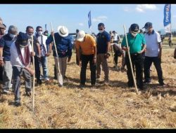 Gubernur Sebut, Mereka Yang Membidangi Pertanian, Peternakan, Perikanan Manusia-Manusia Lapangan