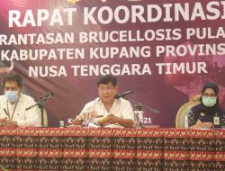 Wabup Kupang Minta Pencegahan Brucellosis di Semau Harus Jadi Prioritas