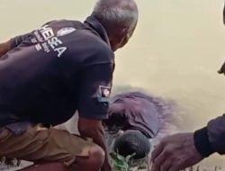 Luar Biasa !! Di Kabupaten Kupang, Buaya Kembalikan Korban Yang Diterkam
